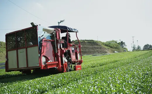 【新茶】奥八女新茶 詰合わせ(2本)【2026年5月発送開始】 お茶 八女茶 緑茶 茶葉 濃厚 国産 福岡県 八女市 050-011