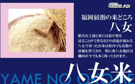 九州・福岡からお届け！八女の恵み定期便【全３回】 F　072-T039