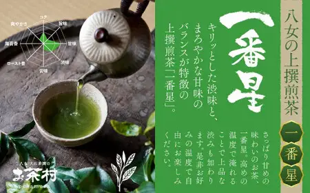 《福岡八女茶》甘味と渋味を兼ね備えた、お茶村 上撰煎茶《一番星》　077-001