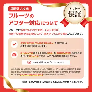 【先行受付】種なし 巨峰 1.4kg（350g×4パック）｜2026年7月上旬～発送予定 産地直送 種なし巨峰 甘い巨峰 ジューシーな巨峰 大粒な巨峰 002-006