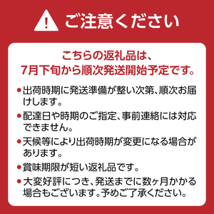 【先行受付】幸水梨（5kg）【ＪＡふくおか八女】｜2026年7月下旬～発送予定 梨 幸水梨 2026年予約 先行受付 光センサー 002-010