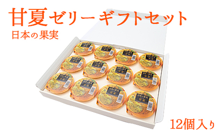 甘夏ゼリー12個ギフトセット 007-002