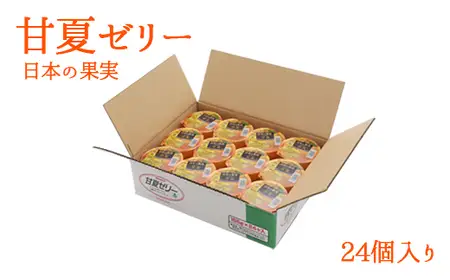 甘夏ゼリー24個セット 007-003
