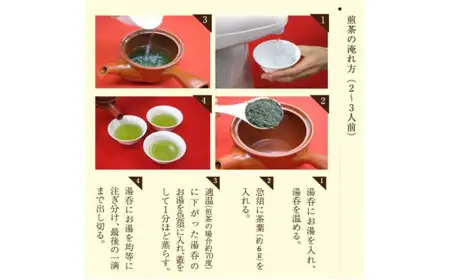 自社製造の深蒸しの八女茶！茶ごころ100g入り3袋セット　008-004