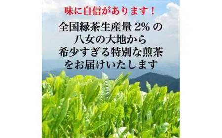 八女茶ギフト 仏事2袋セット　008-057