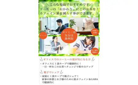 健康茶 第一薬科大学共同開発八女茶2gパック　008-062