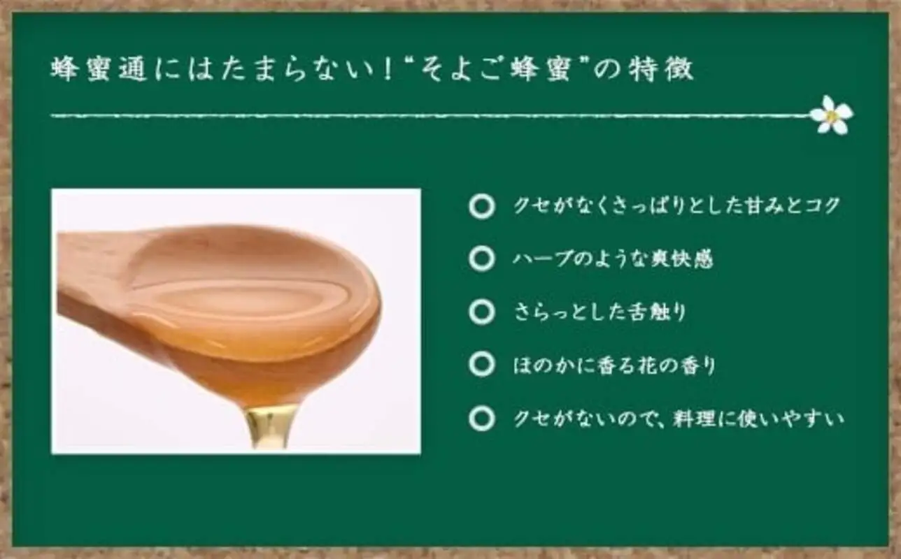 かの蜂 国産そよご蜂蜜【1kg】（とんがりポリ容器）ハーブキャンディーに似た爽快感とコクのある蜂蜜 はちみつ ハチミツ 保存食 防災グッズ 福岡県 八女市 024-018