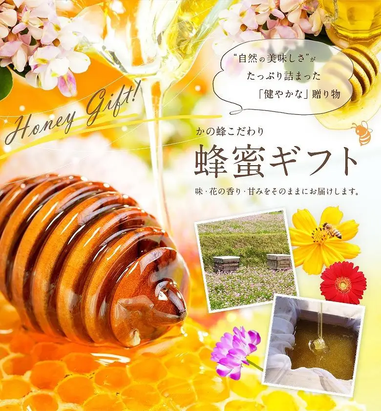 【ギフト用】 かの蜂  国産里山蜂蜜【500g×2本】セット 養蜂一筋60年自慢の一品 蜂蜜 はちみつ ハチミツ 国産 年内配送 年内発送 お歳暮 御歳暮 お中元 御中元 贈り物 母の日 父の日 誕生日 プレゼント バースデー 敬老の日 ギフト 024-039-GFT
