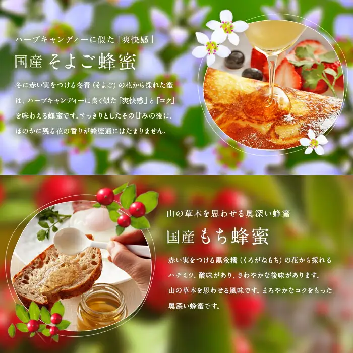 かの蜂 国産 蜂蜜 お試しセット 90g×5 養蜂一筋60年自慢の一品（瓶）　024-042