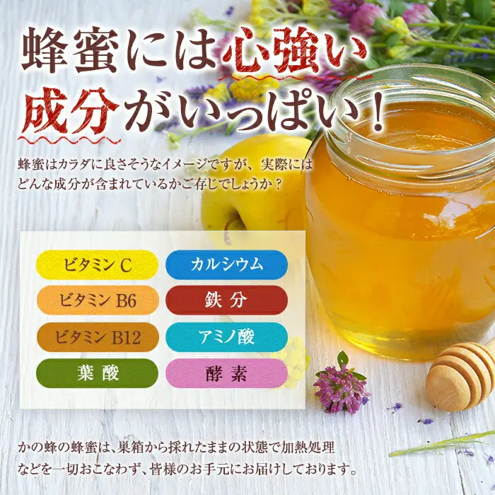 かの蜂 国産 百花蜂蜜 3kg（とんがり容器500g×6本）純粋はちみつ 024-043