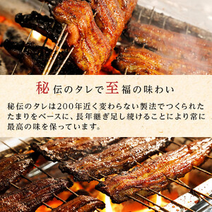 ひつまぶし店『まるや本店』３人用ひつまぶし | うなぎ 鰻 魚介類 水産 食品 人気 おすすめ ギフト 冷凍 温めるだけ お土産 愛知県 長久手市