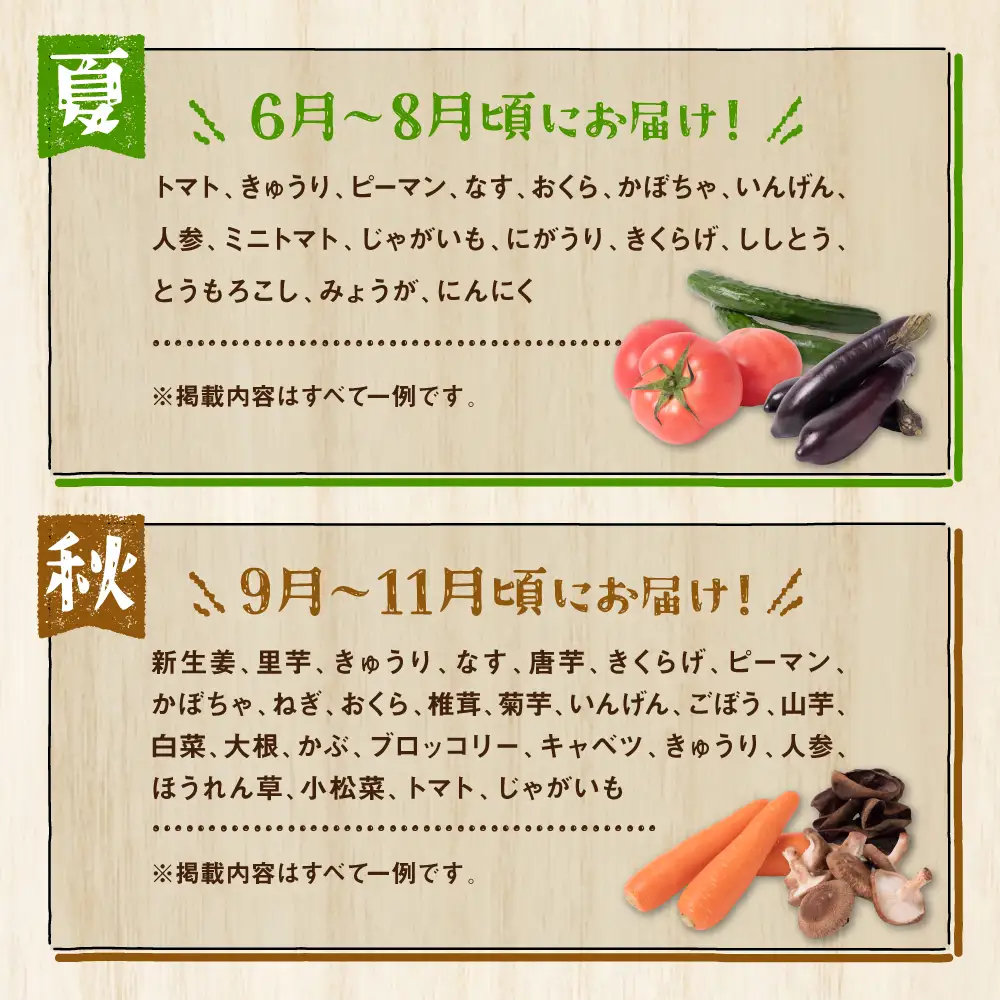 【毎月お届け】【定期便3回】八代市産！旬の農産物詰合せ 復興 福袋 7品以上