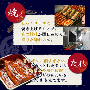 静岡 名産 うなぎ 蒲焼 2人前 240g～ 冷蔵 三島名物 老舗 うなぎ屋 真空パック 御殿川 土用丑の日 晩ごはん 家族 惣菜 養殖 タレ付き 秘伝のタレ ギフト プレゼント 贈り物 うな重 うな丼 鰻料理 蒲焼き うなぎ蒲焼 鰻蒲焼 うなぎ料理 ウナギ 鰻 うな丼セット 蒲焼セット 三島市 静岡県