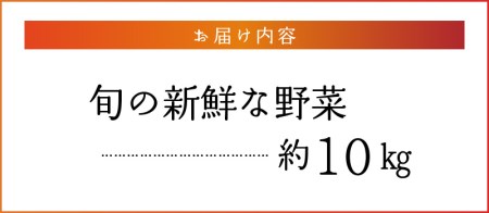 福岡県久留米市産 新鮮野菜セット_福岡県 久留米市産 新鮮野菜 セット 10品目 約10kg 旬の野菜 詰め合わせ 新鮮 季節 野菜 水菜 小松菜 ほうれん草 アスパラ キャベツ オクラ レイシ トマト 胡瓜 ニラ 玉葱 インゲン 茄子 春菊 ブロッコリー 大根 旬 料理 久留米市 冷蔵 お取り寄せ 送料無料 〔Gv025〕