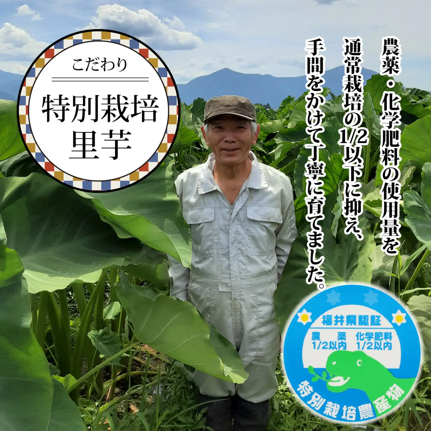 【先行予約】【皮むき不要】減農薬・減化学肥料の特別栽培里芋 上庄里芋 冷凍 洗い子 2kg【10月上旬ごろから順次発送】年内発送