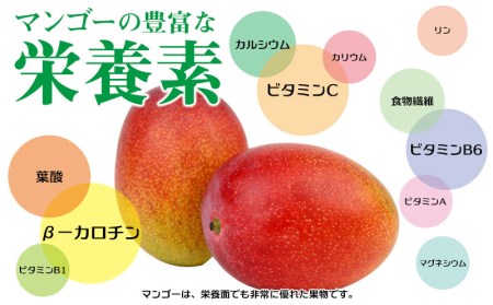 【化粧箱入】【先行受付・2026年発送】とうはらマンゴー園の美味しいマンゴー秀品 約2kg - 先行予約 沖縄 産地直送 南国フルーツ 旬の味覚 旬のフルーツ 贈り物 ギフト 沖縄県 八重瀬町