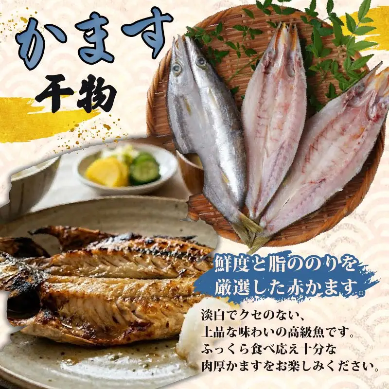 【小木曽商店】　干物詰合せ【Bセット】　定期便　６ヶ月　３回