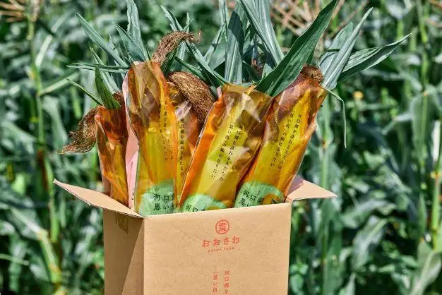 とうもろこし 恵味ゴールド 一流リゾートホテル御用達 糖度１８度超え とうもろこし 富士恵味プレミアム ６本　