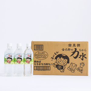 おためしAセット 南足柄 金太郎の力水 ラベルレス 500ml×48本（24本入×2箱）【 飲料水 天然水 ミネラル ウォーター 美味しい 水 お水 まとめ買い 災害 備蓄品 保存 神奈川県 南足柄市 】
