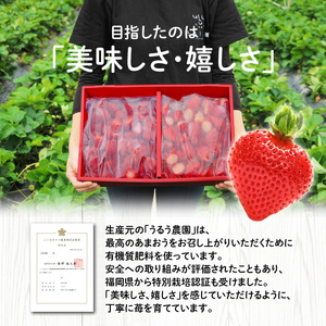 うるう農園の冷凍あまおう2kg_あまおう 2kg 冷凍 甘い 濃厚 新鮮 いちごの王様 うるう農園 いちご 果物 アレンジ おやつ フルーツ スイーツ スムージー ジャム アイス けずり苺 お取り寄せ お取り寄せグルメ 福岡県 久留米市 送料無料 〔Fi204〕