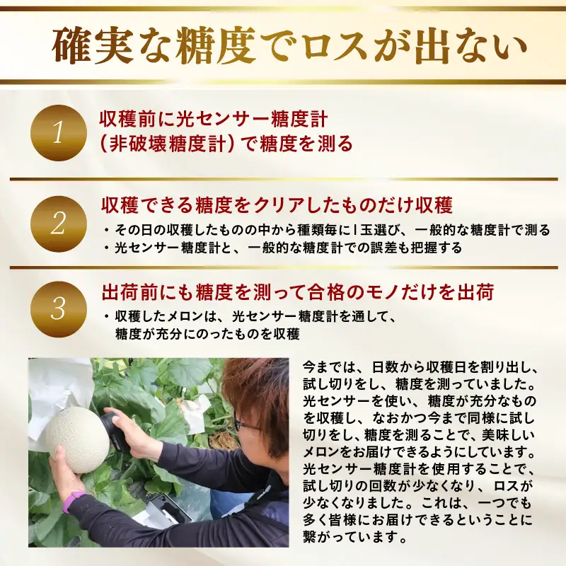 【先行予約】青肉ペルルメロン 秀品 2玉（1.7kg以上×2玉）【ネット系青肉メロン】《糖度16度程度！1株1果採りで育てる高級メロン！》／ 果物 フルーツ 農家直送 青肉 ネット系メロン ギフト 贈答用 ※2026年7月上旬より順次発送予定 [aw028-a004]