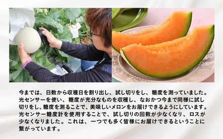 【先行予約】赤肉パリスメロン 秀品 1玉（1.5kg以上）【アールス系赤肉メロン】《糖度16度程度！1株1果採りで育てる高級メロン！》／ 果物 フルーツ 農家直送 赤肉 マスクメロン アールスメロン ギフト 贈答用 ※2026年7月上旬より順次発送予定 [aw028-a005]
