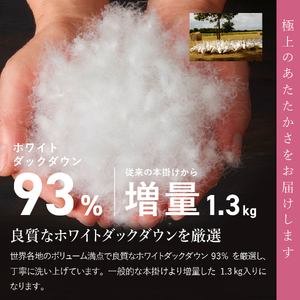  布団【訳あり/暖色】甲州羽毛ふとん 本掛け布団 ロイヤルダウン93%増量1.3kg（シングル/お任せ柄）