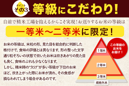  米 無洗米 令和7年産 特A受賞品種 ひのひかり 森のくまさん 米 送料無料10kg 食べ比べ ヒノヒカリ 厳選 熊本県産(長洲町産含む) 米 お米 森くま 長洲町《7-14日以内に出荷予定(土日祝を除く)》