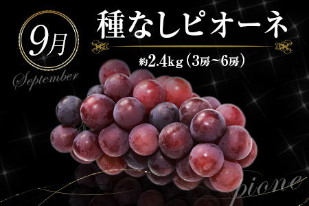 南国宮崎 旬の《至高》フルーツ定期便 奇数月コース（計6回）【F95-24】