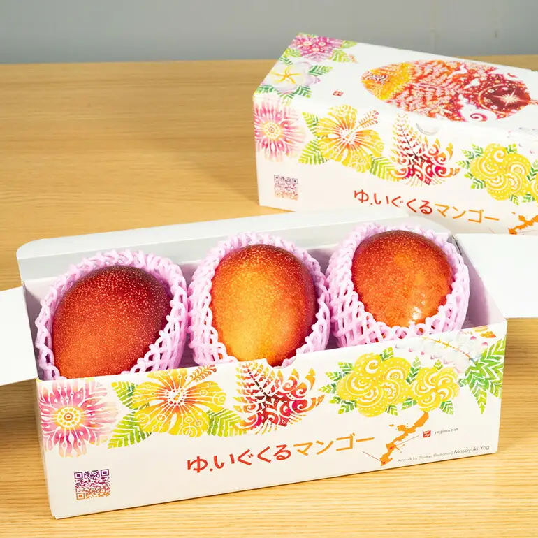 【 先行予約 2026年 発送 】 沖縄県 糸満産の「 濃厚 アップルマンゴー 」1kg オリジナル 贈答用 化粧箱入り 沖縄県産 マンゴー 完熟マンゴー 果物 くだもの フルーツ 完熟 夏 旬 沖縄 産地直送 農家直送 甘い 糸満市 (生産者 ゆいぐくるマンゴー) 33-2