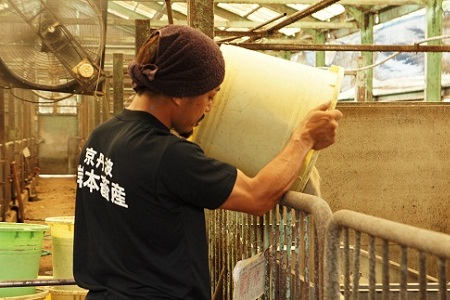 自社ブランド豚「京丹波ぽーく」モモ切り落とし 1.5kg ※北海道・沖縄・その他離島は配送不可 [013KT002]