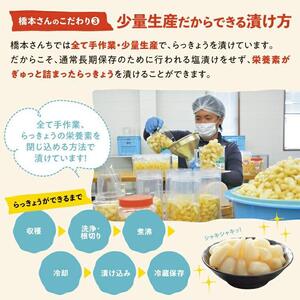 橋本さんちの砂丘らっきょう甘酢漬け 500g