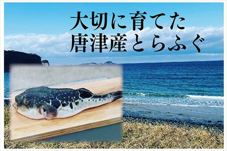唐津 灯庵よかよかセット