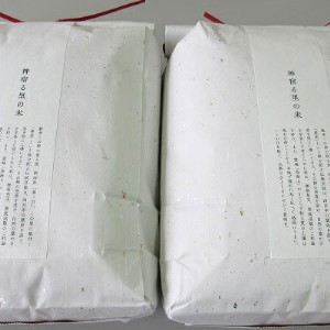 【新米先行予約 11月以降順次発送予定】《定期便 3か月》10kg（5kg×2袋）×3ヶ月 鳥海山の恵み 農家直送！ あきたこまち（玄米）  【令和8年度産 玄米 秋田 にかほ】