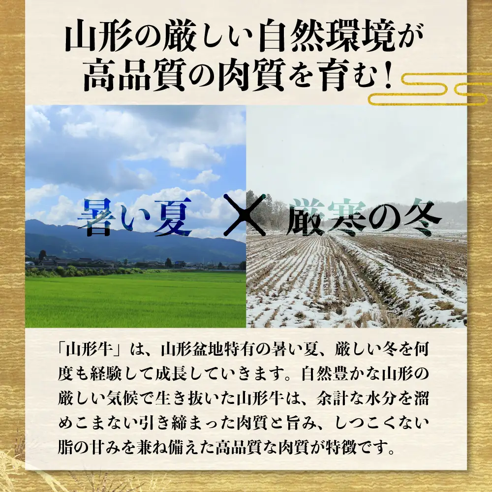 ステーキ 松月厳選 山形牛 サーロイン 600g 山形牛 ステーキ