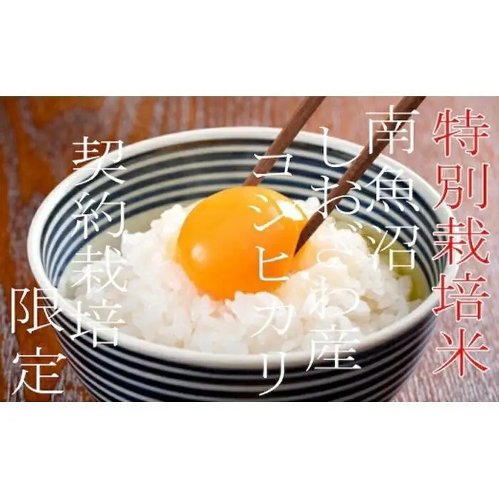 【令和7年産】【定期配送4Kg×12ヶ月】特別栽培 生産者限定  南魚沼しおざわ産コシヒカリ【定期便 銘柄米 ブランド米 精米 こしひかり コシヒカリ 魚沼産 新潟米 産地直送 お米 米 こめ コメ ご飯 御飯 ごはん】