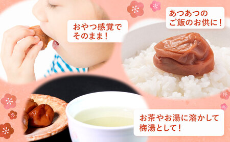訳あり しそ漬け梅干し 350g×4箱 梅干し