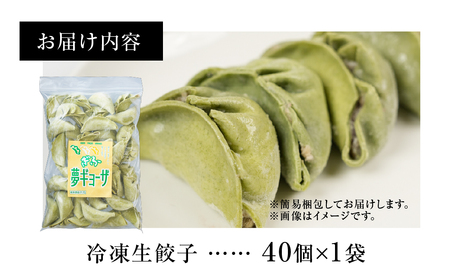 あっさり塩味、織部焼リスペクトの「もとす織部餃子 40個」ぎょうざ ギョウザ 冷凍 あたためるだけ お取り寄せ グルメ グルメ [mt1580] 8000円