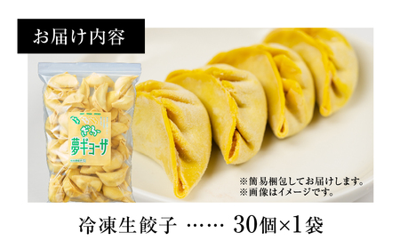 飛騨牛 のリッチな風味が口中に広がる！「飛騨牛餃子 30個」 餃子 ぎょうざ ギョウザ 飛騨牛 牛肉 肉 和牛 国産 冷凍 お取り寄せ [mt1582] 10000円 1万円