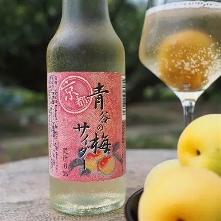 青谷の梅サイダー250ml　_飲料・ドリンク 炭酸飲料 ジュース _【1258587】