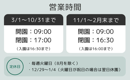 入園招待券3枚セット ANAE001