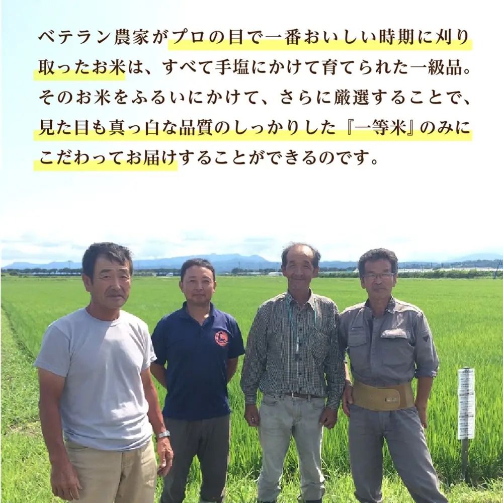 米 玄米 雪若丸 30kg 令和7年産 一等米 山形県産 米