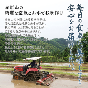 令和7年度産 棚田米 玄米 5kg コシヒカリ 栽培期間中 農薬不使用 お米 玄米
