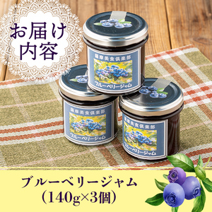 isa303 《毎月数量限定》手作りブルーベリージャム(計3個・各140g)加工食品 果物 フルーツ 詰め合わせ 果肉 ブルーベリー 低糖 ハンドメイド ジャム ギフト【薩摩美食倶楽部】