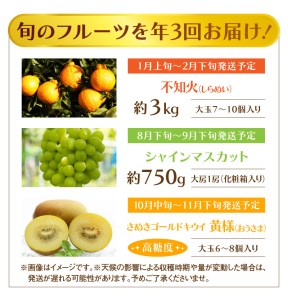 【さぬき讃フルーツ】認定品限定!人気のフルーツ定期便(年3回)