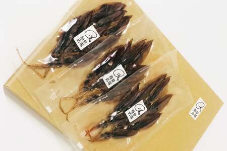 富山産 ホタルイカ 燻製 20g×3袋 [愛場商店 富山県 朝日町 34310476]