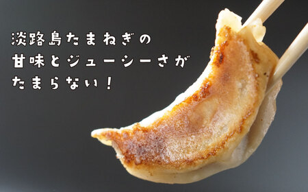 淡路島たまねぎたっぷりジューシー餃子 100個　餃子