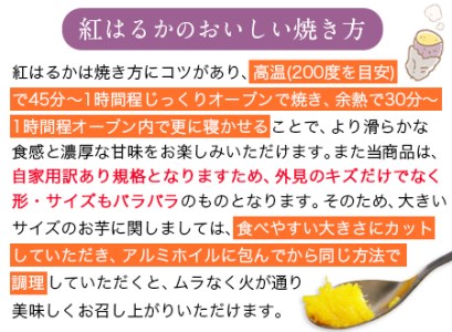 芋紅はるか約5kg有限会社ニシムラ 