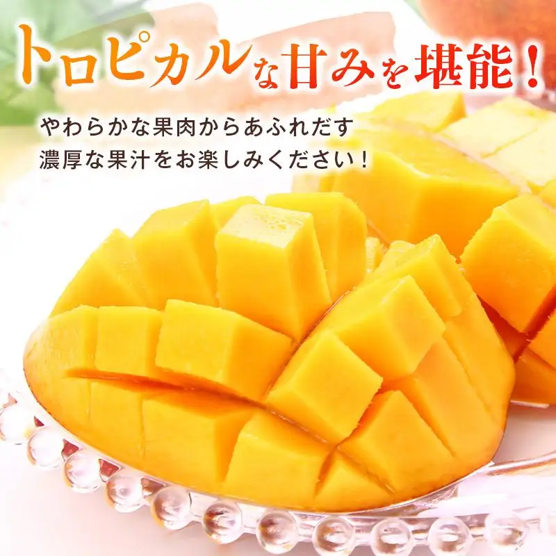 【先行予約】西都市産完熟マンゴー2L×2個　計700g以上 2026年発送＜18-5a＞