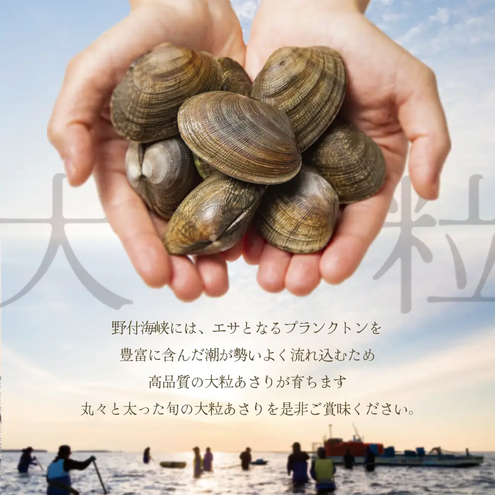 ☆あさりさん☆専用＊BIG BAGまとめ売り＊2セットまとめ売り＊ そのまま使える「しじみ」「あさり」2種から選べる！1パック～12パック